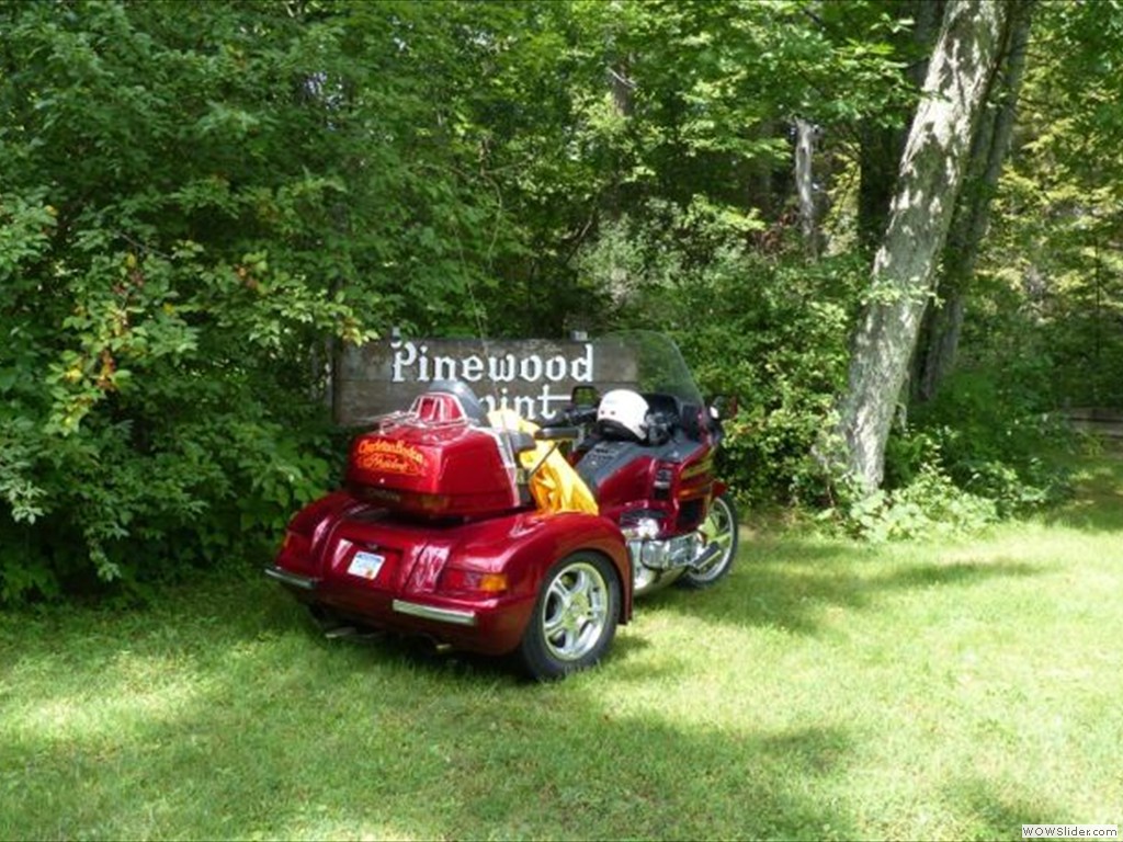 003-Wes Nelsons gold wing